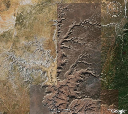 <br>Holoprint Tree inside the Grand Canyon