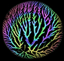 The Holoprint